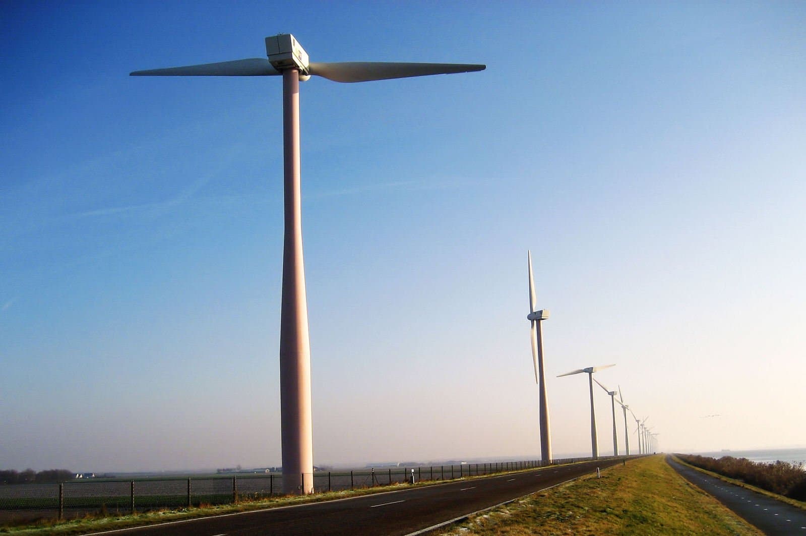 Tasha šetrí 25 000 ton CO2 ročne (a nejaké tie milióny)